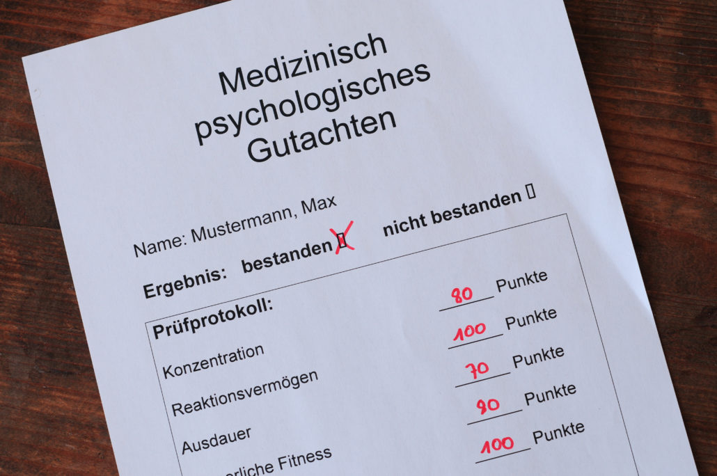 MPU Wolff Was erwartet Sie bei der MPU Begutachtung